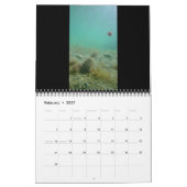 2025 Alte Wasser Foto Edition: Der See Kalender (Feb 2027)