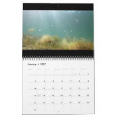 2025 Alte Wasser Foto Edition: Der See Kalender (Jan 2027)