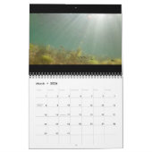 2025 Alte Wasser Foto Edition: Der See Kalender (Mär 2026)