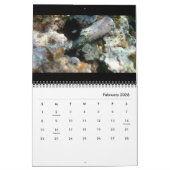 2025 Alte Wasser Foto Edition: Ruins & Artifakte Kalender (Feb 2026)