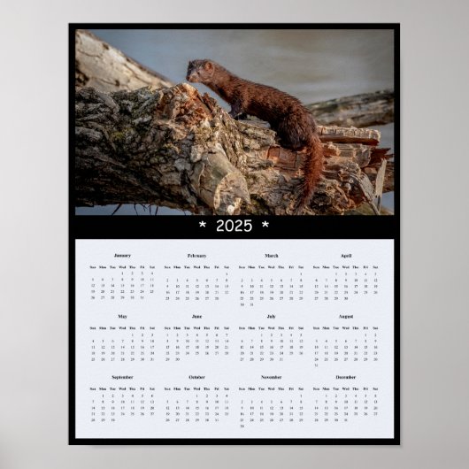 2025 American Mink Wall Calendar Poster (Vorne)