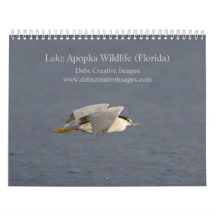 2025 Apoka Wildlife in Florida Kalender