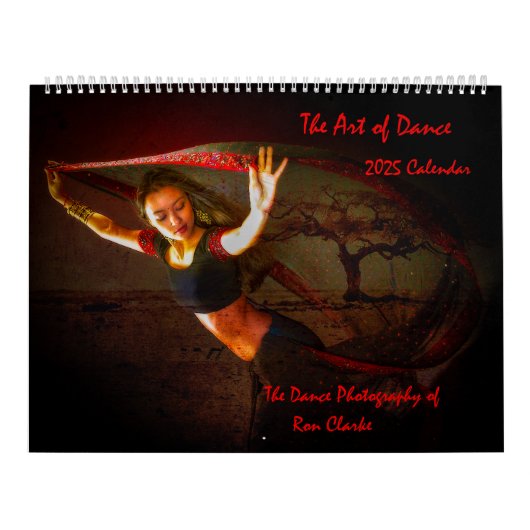 2025 Art of Dance Calendar Kalender (Titelbild)