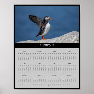 2025 Atlantic Puffin in Maine Wall Calendar Poster