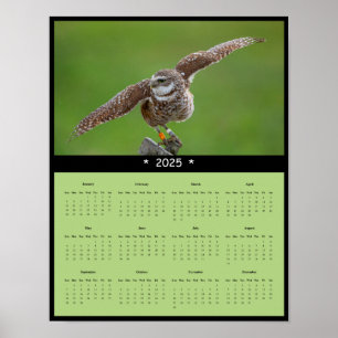 2025 Ausbrechen der Eule-Mauer-Kalender-Poster Poster