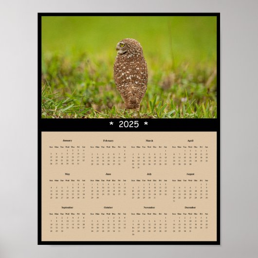 2025 Ausbrechen der Eule-Mauer-Kalender-Poster Poster (Vorne)