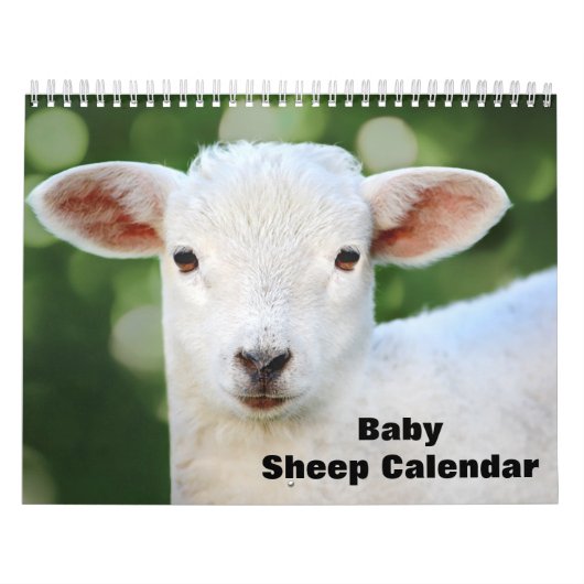 2025 Baby Sheep Lamb Kalender (Titelbild)