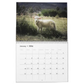 2025 Baby Sheep Lamb Kalender (Jan 2026)