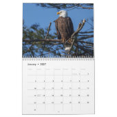 2025 Bald-Adlerkalender Kalender (Jan 2027)