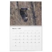 2025 Bald-Adlerkalender Kalender (Feb 2027)