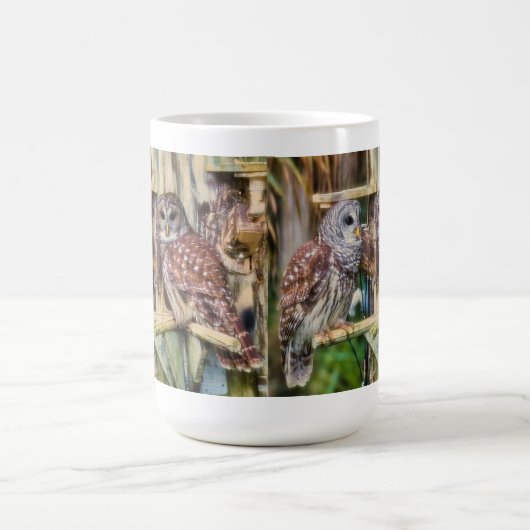 2025_Barred Owl Mug Kaffeetasse (Mittel)