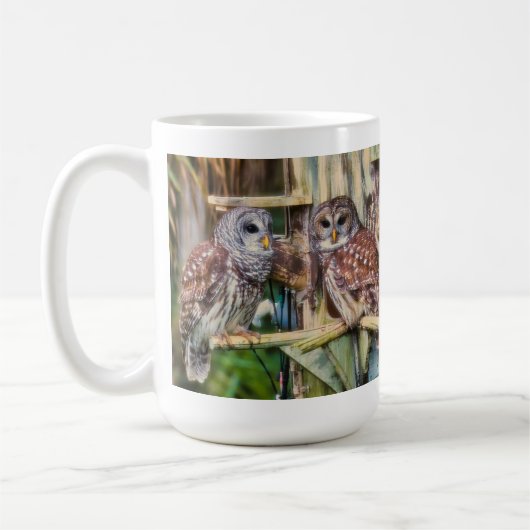 2025_Barred Owl Mug Kaffeetasse (Links)