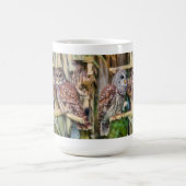 2025_Barred Owl Tasse (Mittel)