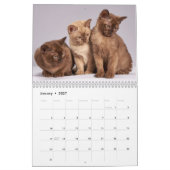 2025 Bengalische Katze Kalender (Jan 2027)