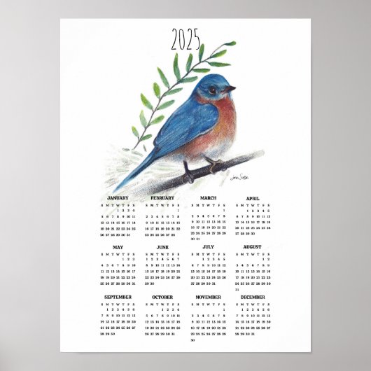 2025 Bluebird auf dem Zweigplakatkalender Poster (Vorne)