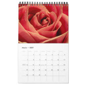 2025 Blume Naher 1-Seiten-Wall-Kalender Kalender (Mär 2027)