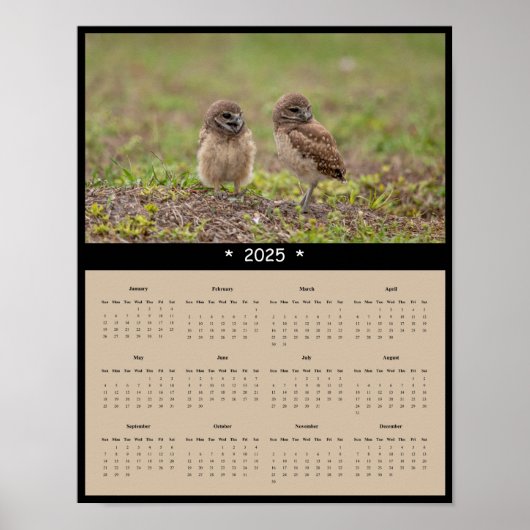 2025 Burrowing Owls Wall Calendar Poster (Vorne)