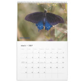 2025 Butterfly One Page Calendar Kalender (Mär 2027)