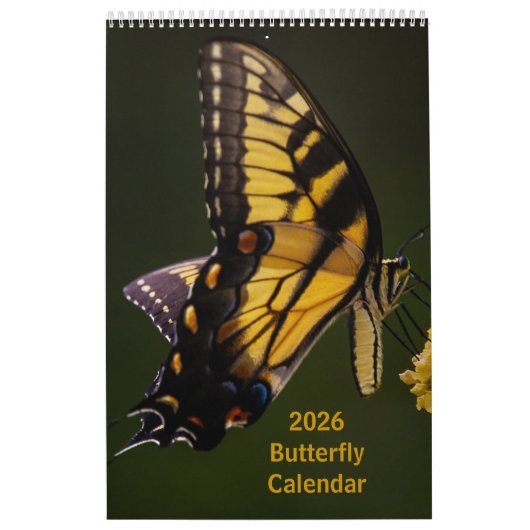 2025 Butterfly One Page Calendar Kalender (Titelbild)