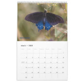 2025 Butterfly One Page Calendar Kalender (Mär 2025)