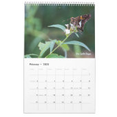2025 Butterfly One Page Calendar Kalender (Feb 2025)