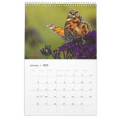 2025 Butterfly One Page Calendar Kalender (Jan 2025)
