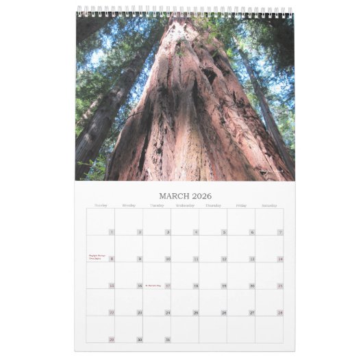 2025 Calendar Richardson Grove Single Sheet Kalender (Mär 2026)