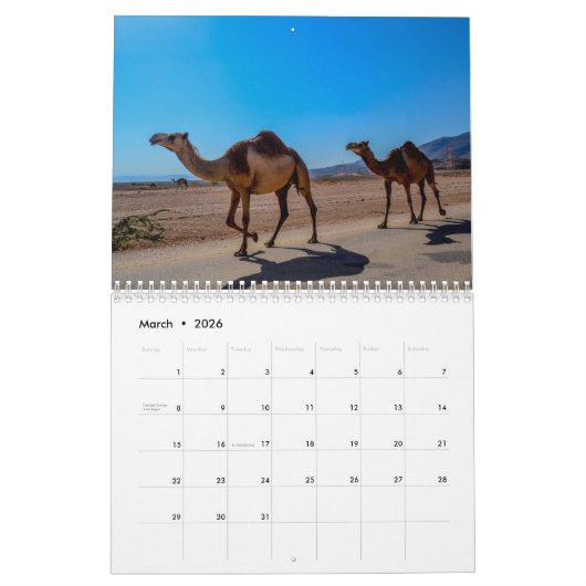 2025 Camel Kalender (Mär 2026)