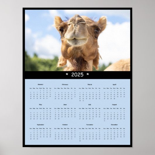2025 Camel Wall Calendar Poster (Vorne)