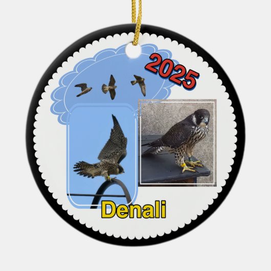 2025 Ceramic Circle Ornament Denali (Vorne)