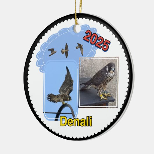 2025 Ceramic Circle Ornament Denali (Links)