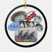 2025 Ceramic Circle Ornament Denali (Hinten)