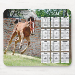 2025-Colt-Laufzeitkalender Mousepad