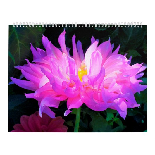 2025 Dahlia-Blume-Kalender Kalender (Titelbild)