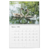 2025 Der beste Kalender des Vogels mit Sitzgelegen (Feb 2026)