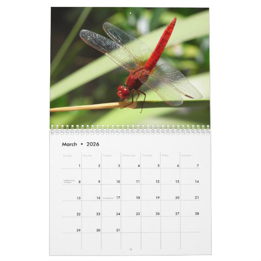 2025 Dragonfly Kalender (Mär 2026)