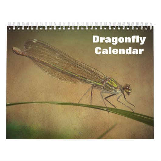 2025 Dragonfly Kalender (Titelbild)
