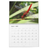 2025 Dragonfly Kalender (Mär 2027)