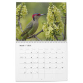 2025 Ein Jahr mit dem modernen Foto "Vögel" Kalender (Mär 2026)