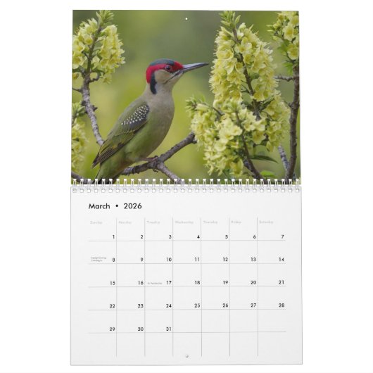 2025 Ein Jahr mit dem modernen Foto "Vögel" Kalender (Mär 2026)