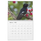 2025 Ein Jahr mit dem modernen Foto "Vögel" Kalender (Feb 2026)