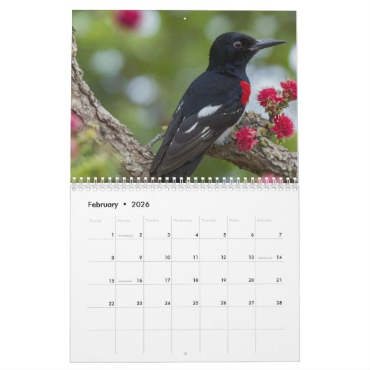 2025 Ein Jahr mit dem modernen Foto "Vögel" Kalender (Feb 2026)
