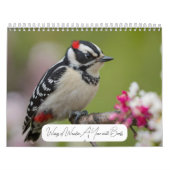 2025 Ein Jahr mit dem modernen Foto "Vögel" Kalender (Titelbild)