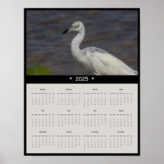 2025 Eintauchen-Mauerkalender-Poster Poster (Vorne)
