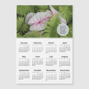 2025 Foto Magnet Ferns & Caladium