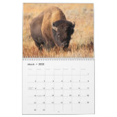 2025 Foto Wildlife - zwei Seiten - Mittelalter Kal Kalender (Mär 2025)