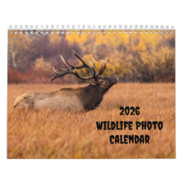 2025 Foto Wildlife - zwei Seiten - Mittelalter Kal Kalender