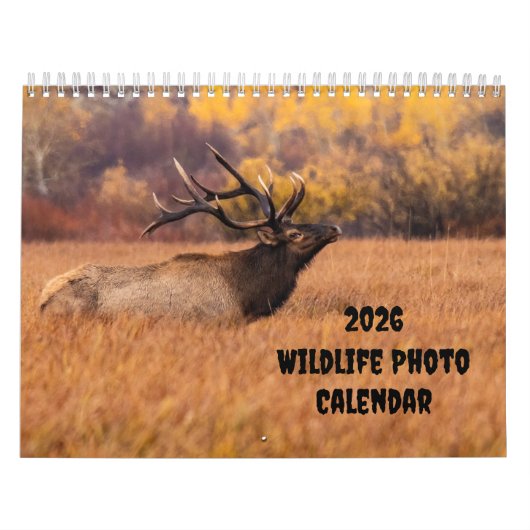 2025 Foto Wildlife - zwei Seiten - Mittelalter Kal Kalender (Titelbild)