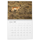 2025 Foto Wildlife - zwei Seiten - Mittelalter Kal Kalender (Jan 2025)