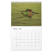 2025 Frog One Page Wall Calendar Kalender (Feb 2027)